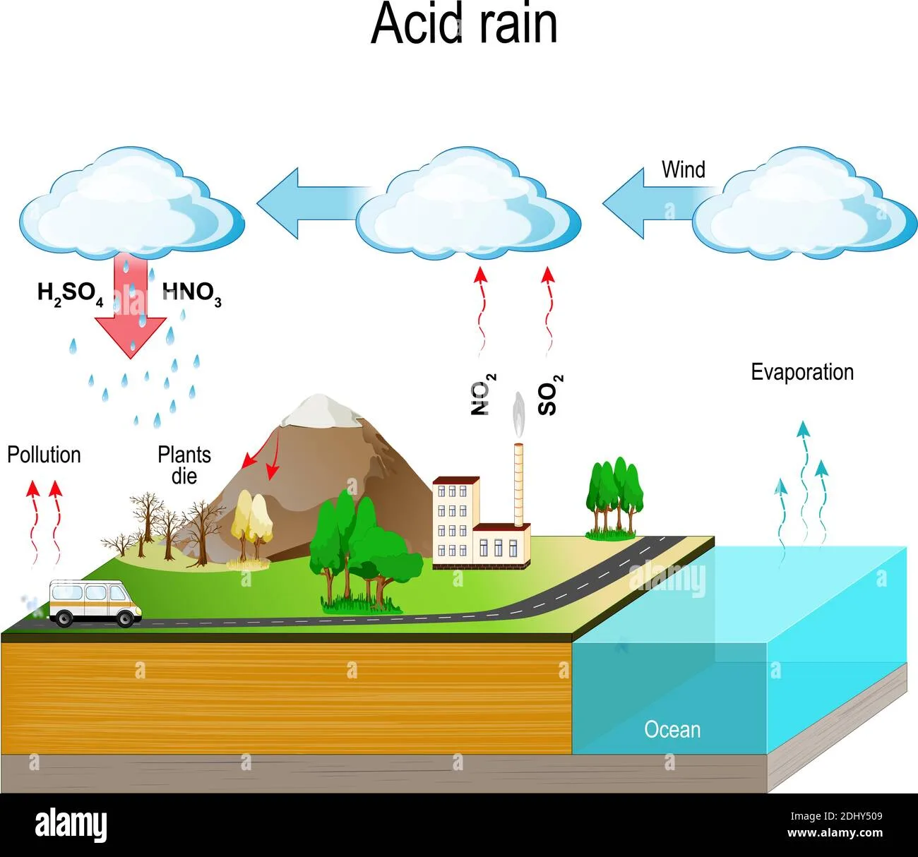 Acids Lesson 6 Acid Rain Hydrolysis Acid Rain The Cau