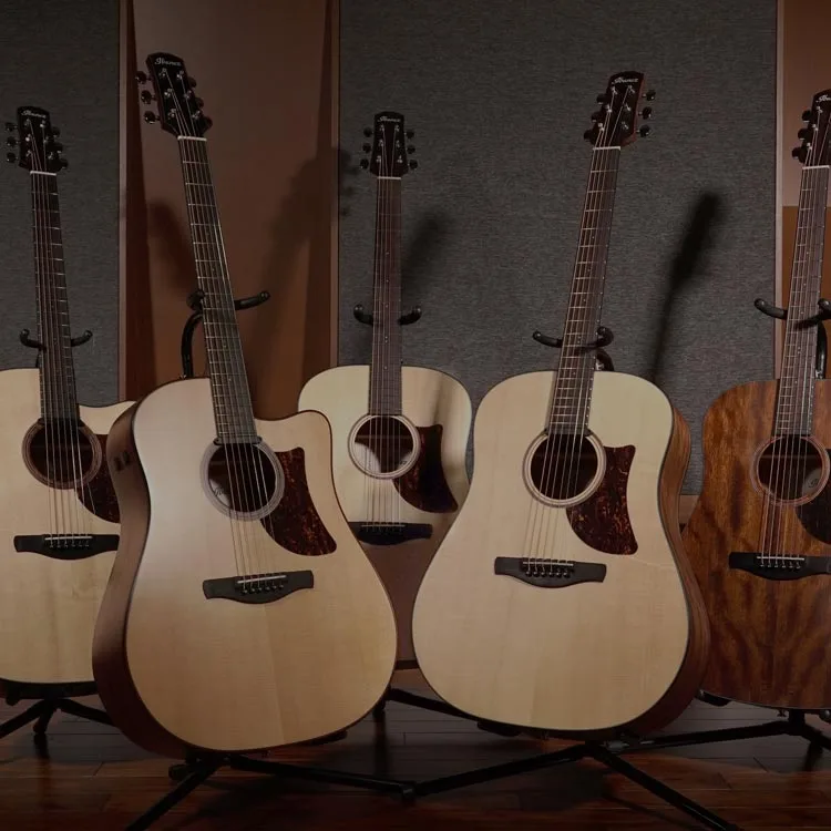 Acoustic Guitars Products Ibanez Guitars