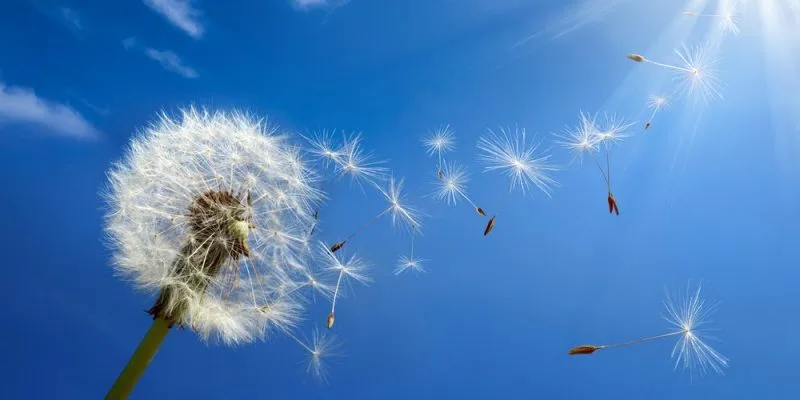 Air Meaning And Explanation