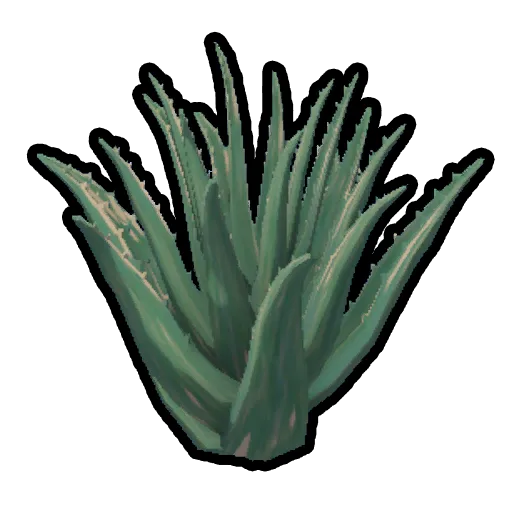 Aloe Vera Peak Wiki