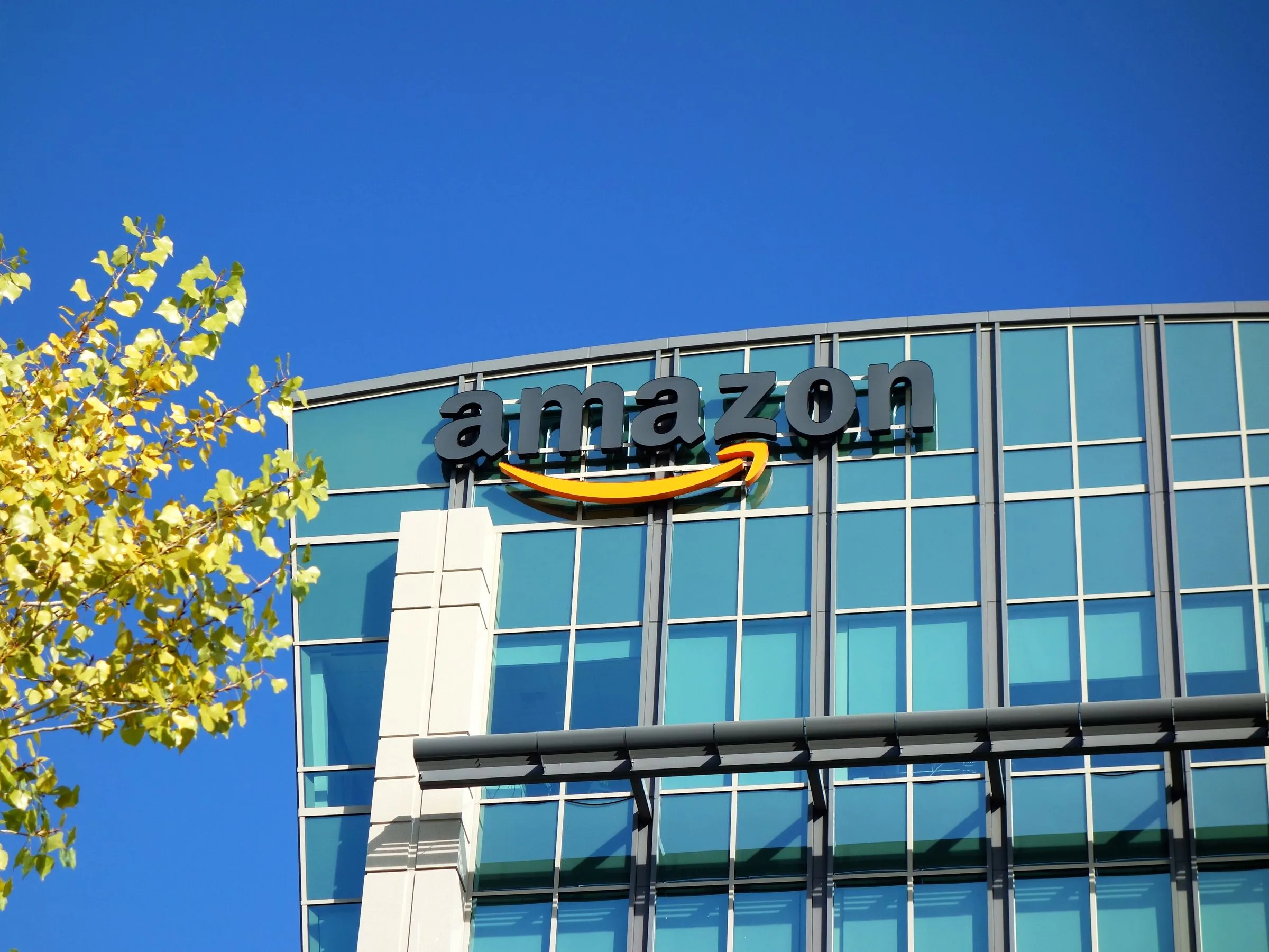 Amazon Expanded Its Empire And Its Place In Society Wired