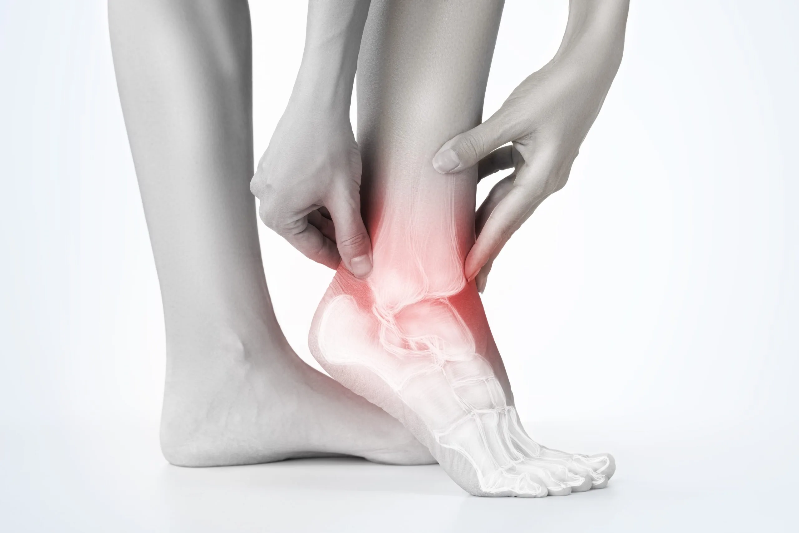 Ankles Your Best Feature Or Most Vulnerable Joint Flexercise