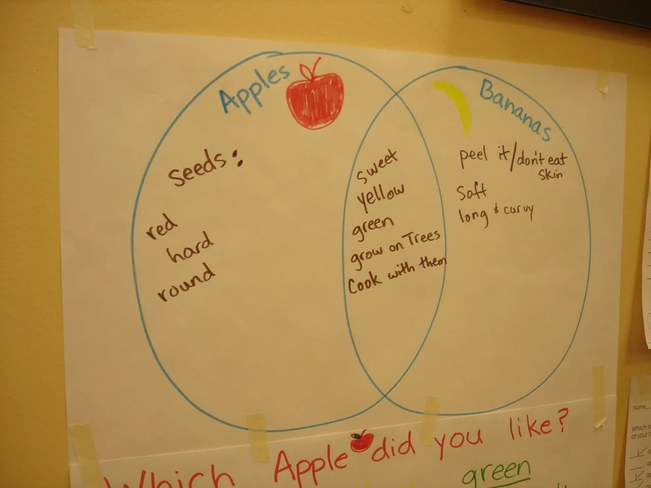 Apples Vs Oranges Venn Diagram Apples Oranges Apple Comparin
