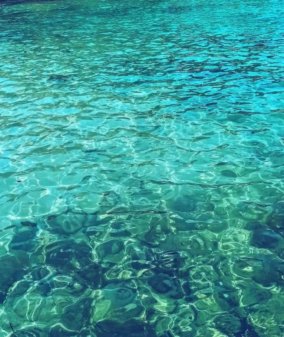 Aqua Water Eau Inciguide