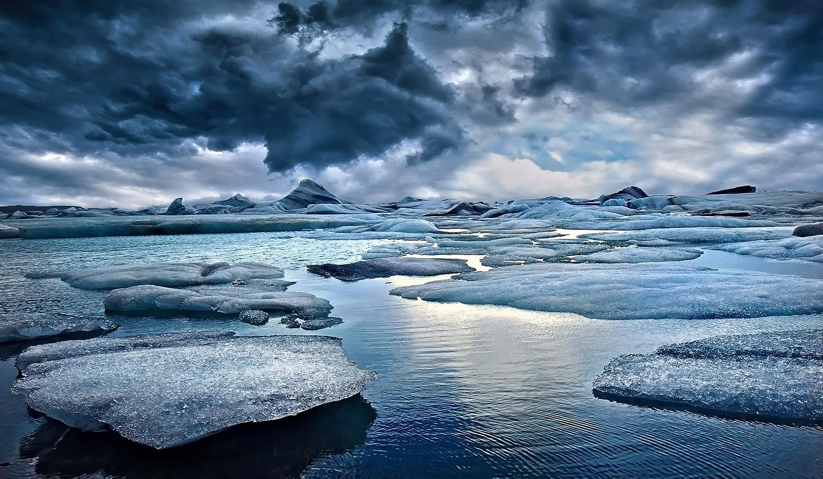 Arctic