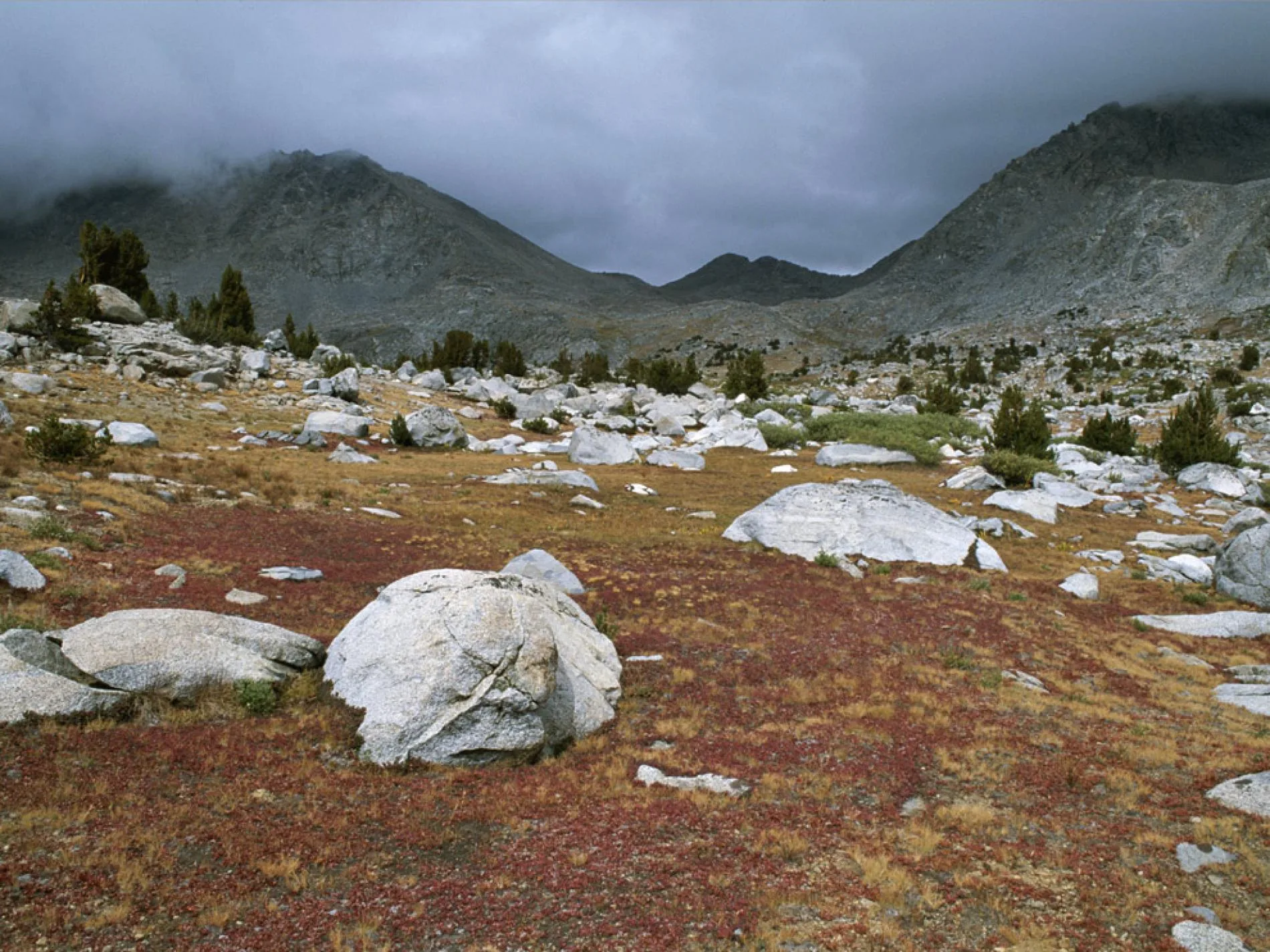 Arctic Tundra Wallpapers Wallpaper Cave