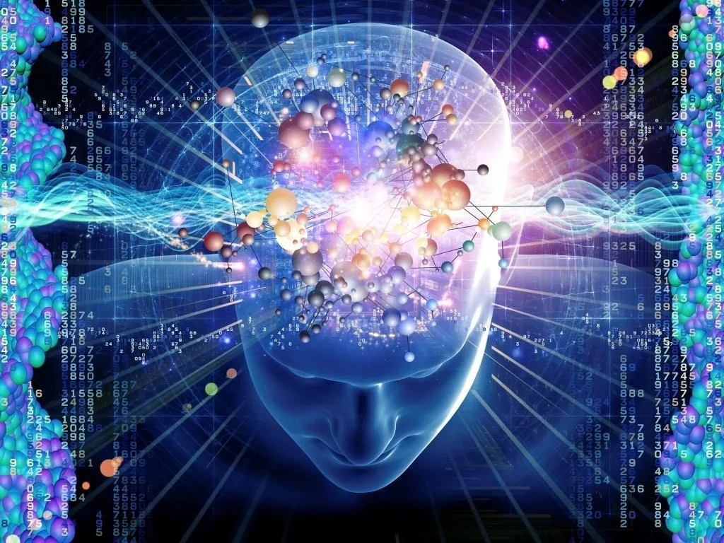 Are You Really Intelligent The Truth Behind Real And Authentic Intellect Mind Body Soul Food
