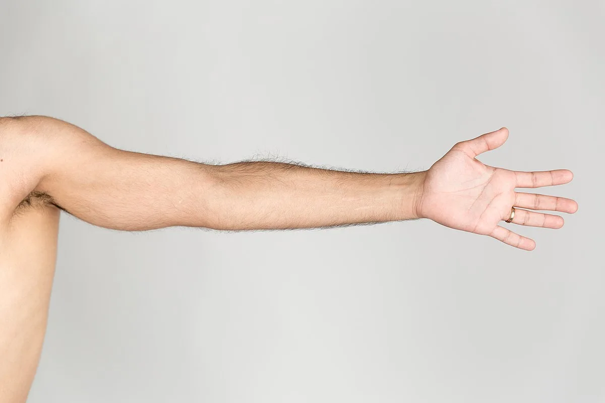 Arm Wikipedia