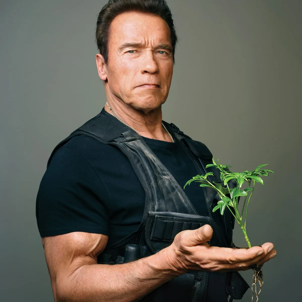 Arnold Schwarzenegger 23 Life Transforming Lessons We Can Learn From Arnold Schwarzenegger