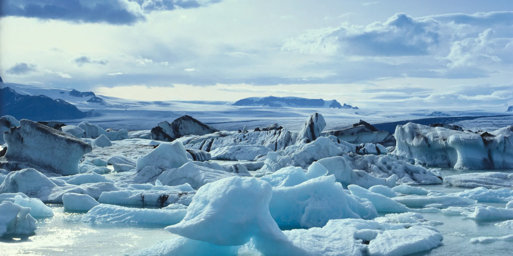 As The Arctic Goes So Goes The Planet Huffpost