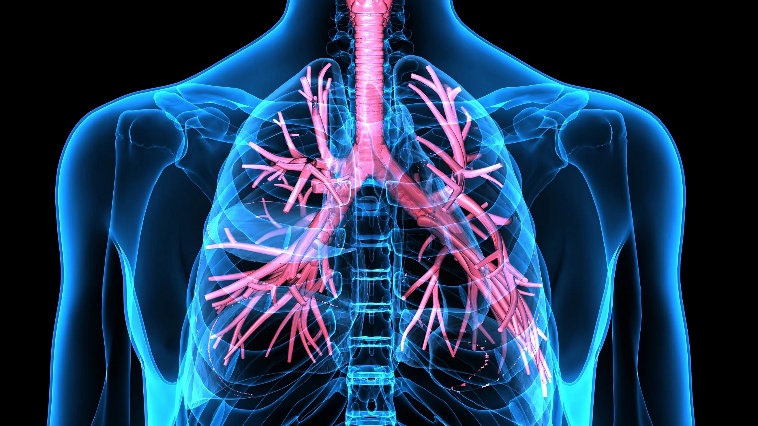 Asthma Bronchiale Ursachen Symptome Und Therapie Naturheilkunde Naturheilverfahren Fachportal