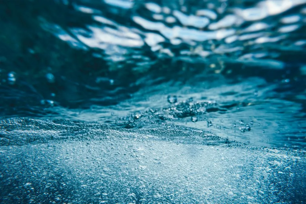Atlantic Students Help Canada S First Indigenous Water And Wastewater Utility Get Off To A
