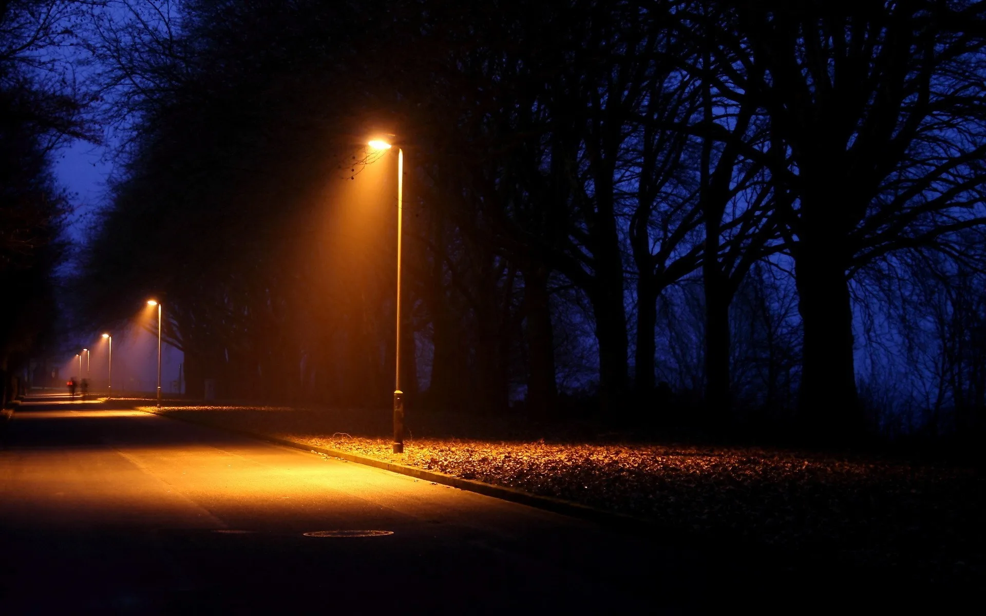 Atmosphere Night Lights