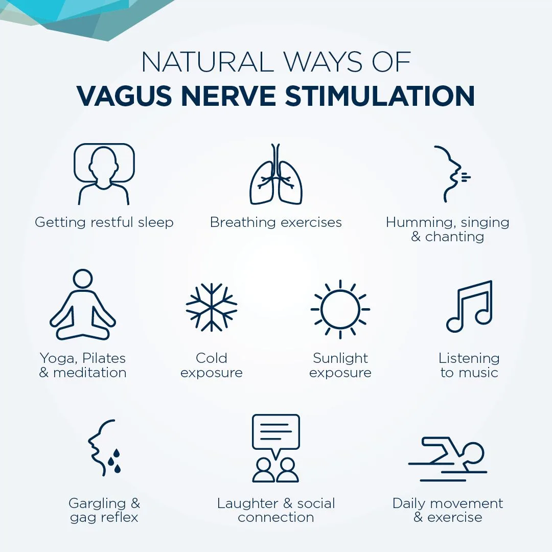 Autonomic Nervous System Dysfunction Parasympathetic Nervous System Nerve Health Body Health