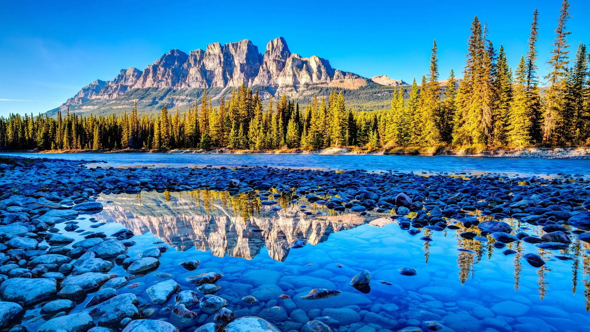 Background Foto Hd