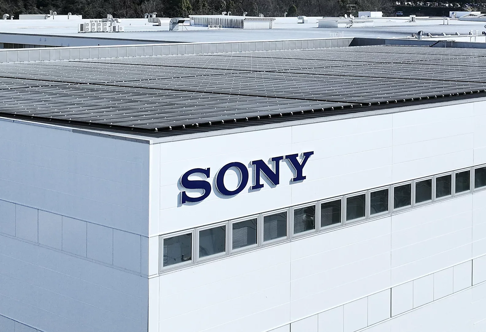 Bæredygtigt Kamera Miljøbevidst Produktion Sony Danmark