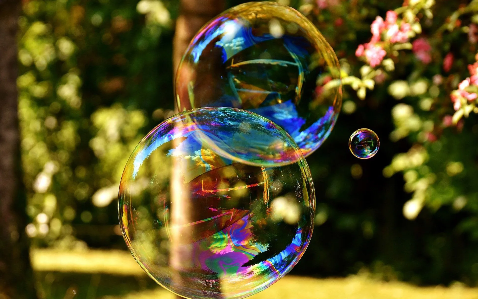Bank Of America History S Greatest Bubble Has Popped But For Real This Time