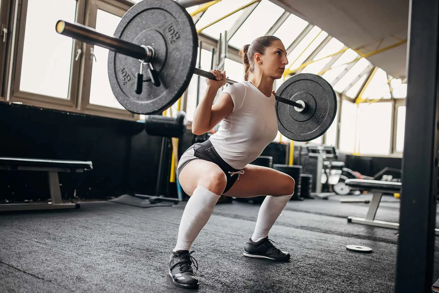 Barbell Squats Muscles Used