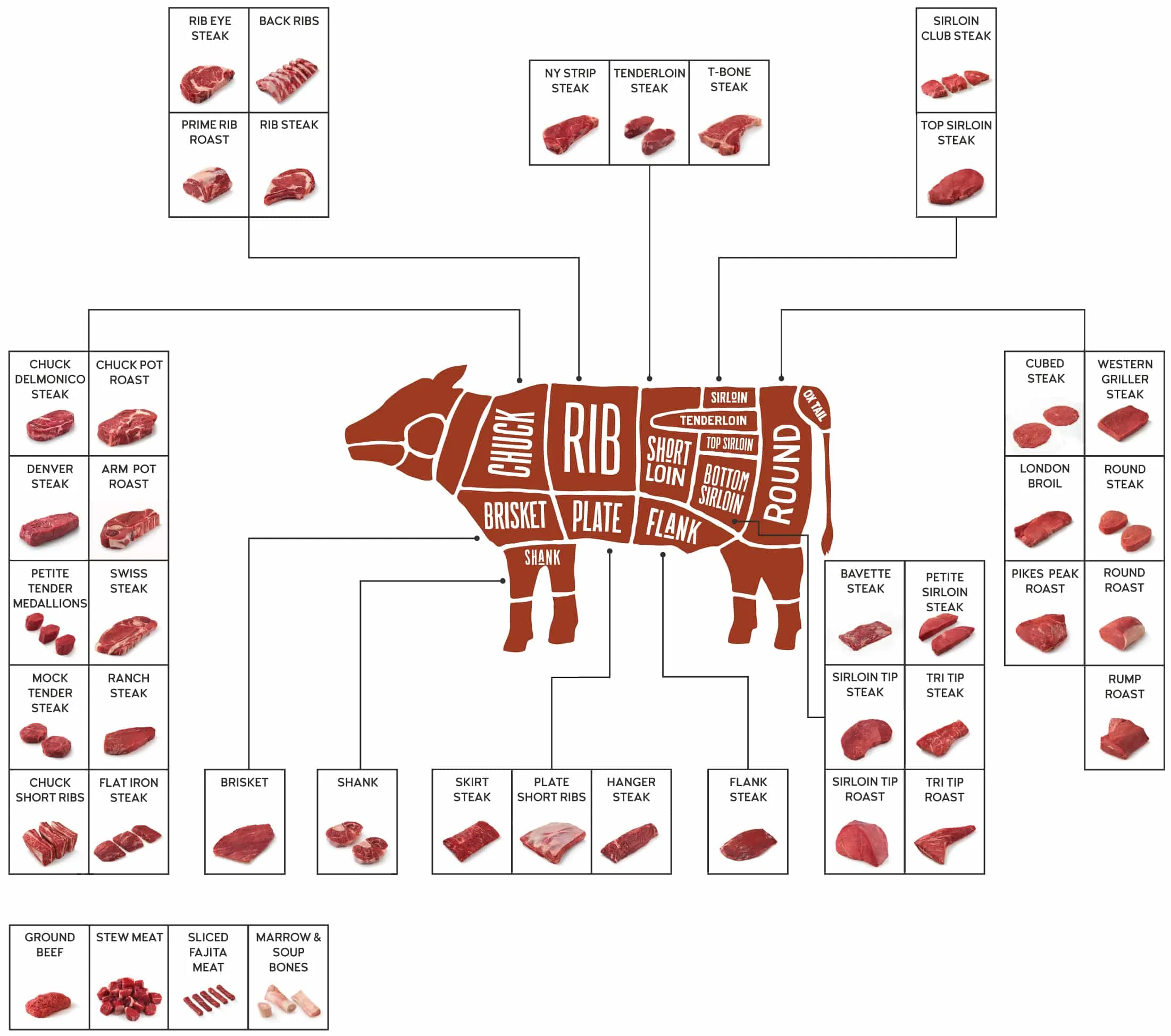 Beef Cuts Diagram Beef Primal Cuts Cuts Of Beef