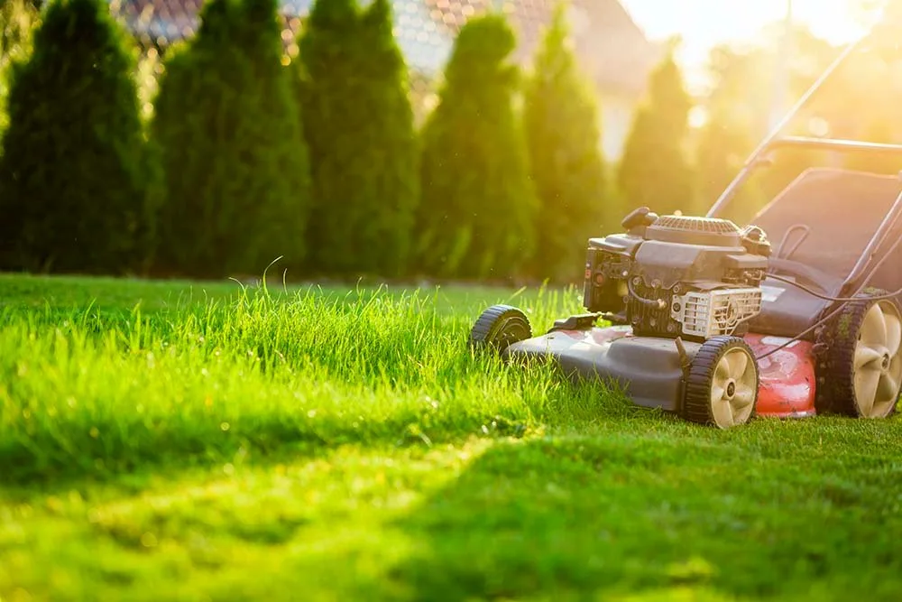 Beginners Guide To Lawn Care
