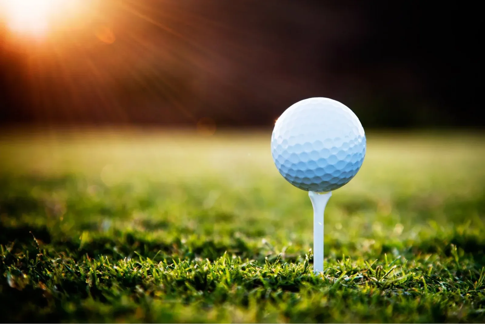 Best Golfers 2023 Golf News Golf Magazine