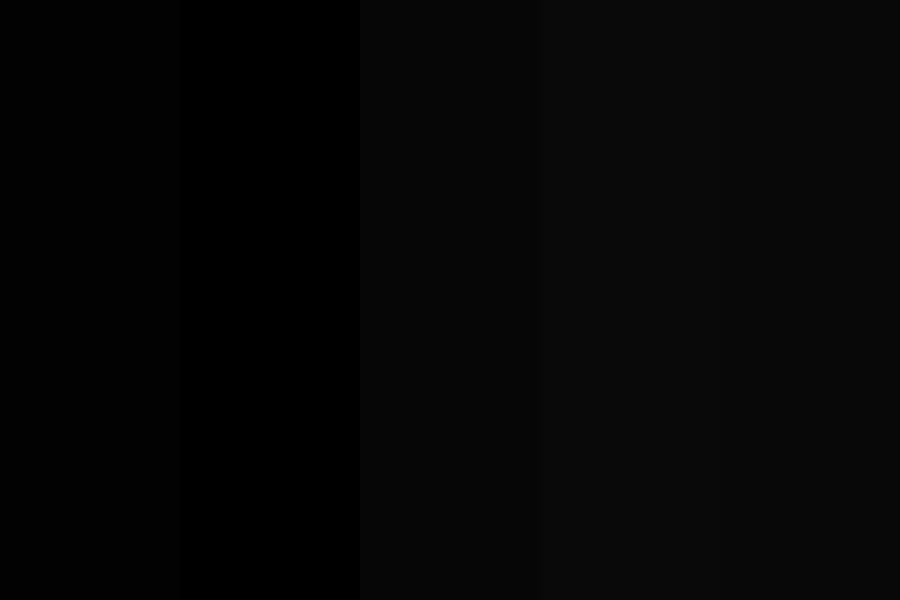 Black Color Swatch