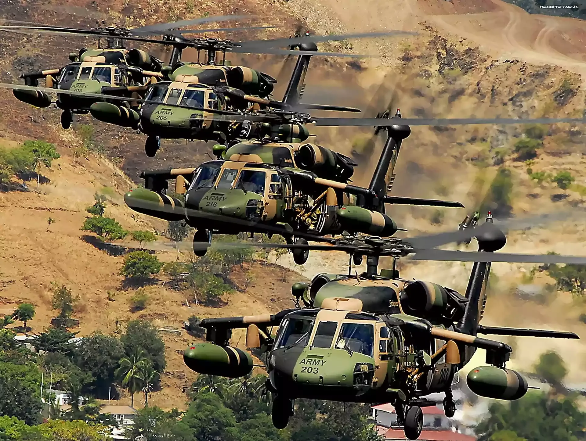 Black Hawk