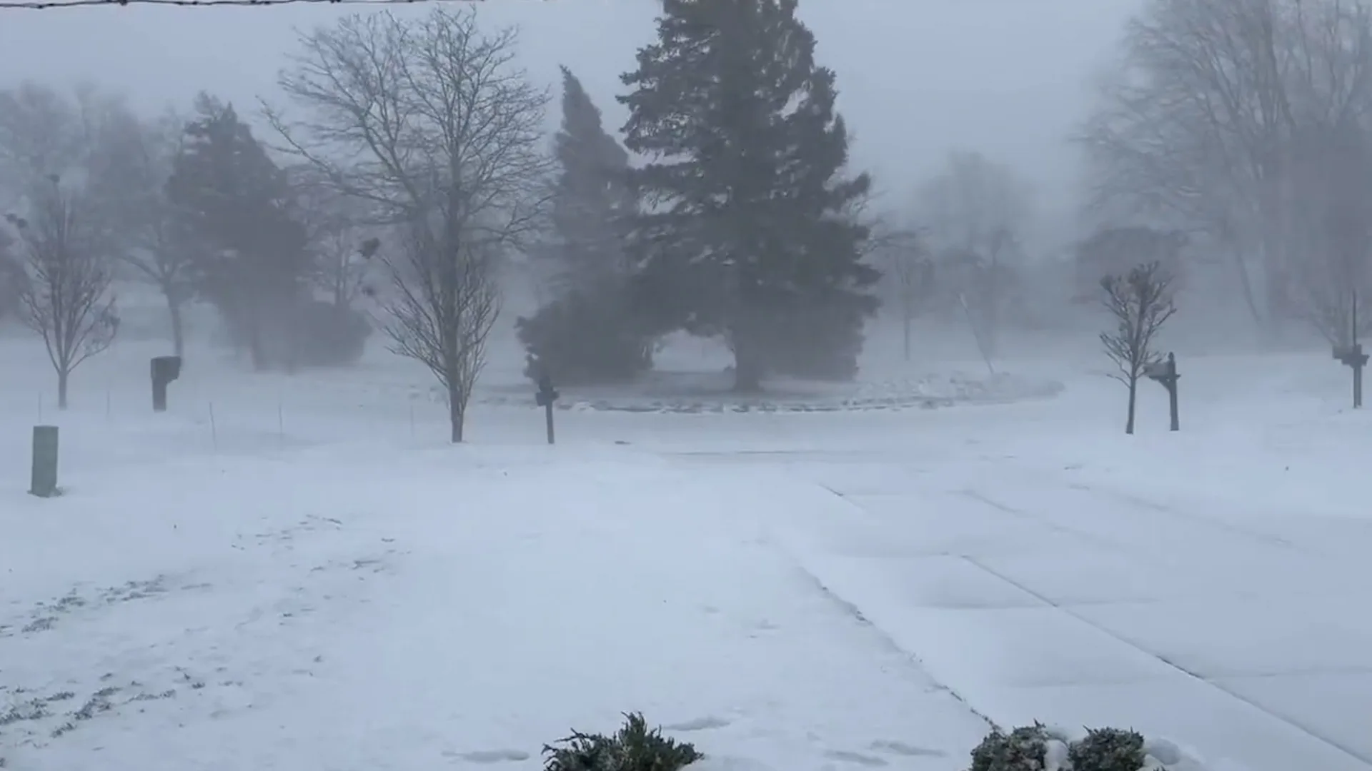 Blizzard Pictures