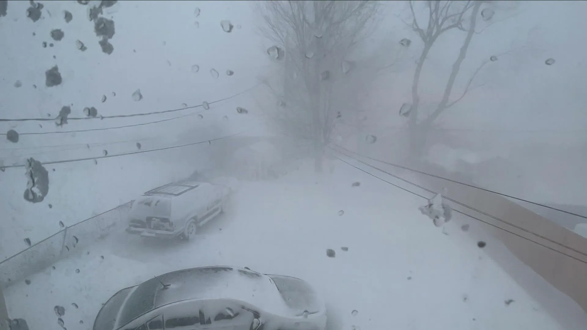 Blizzard Pictures