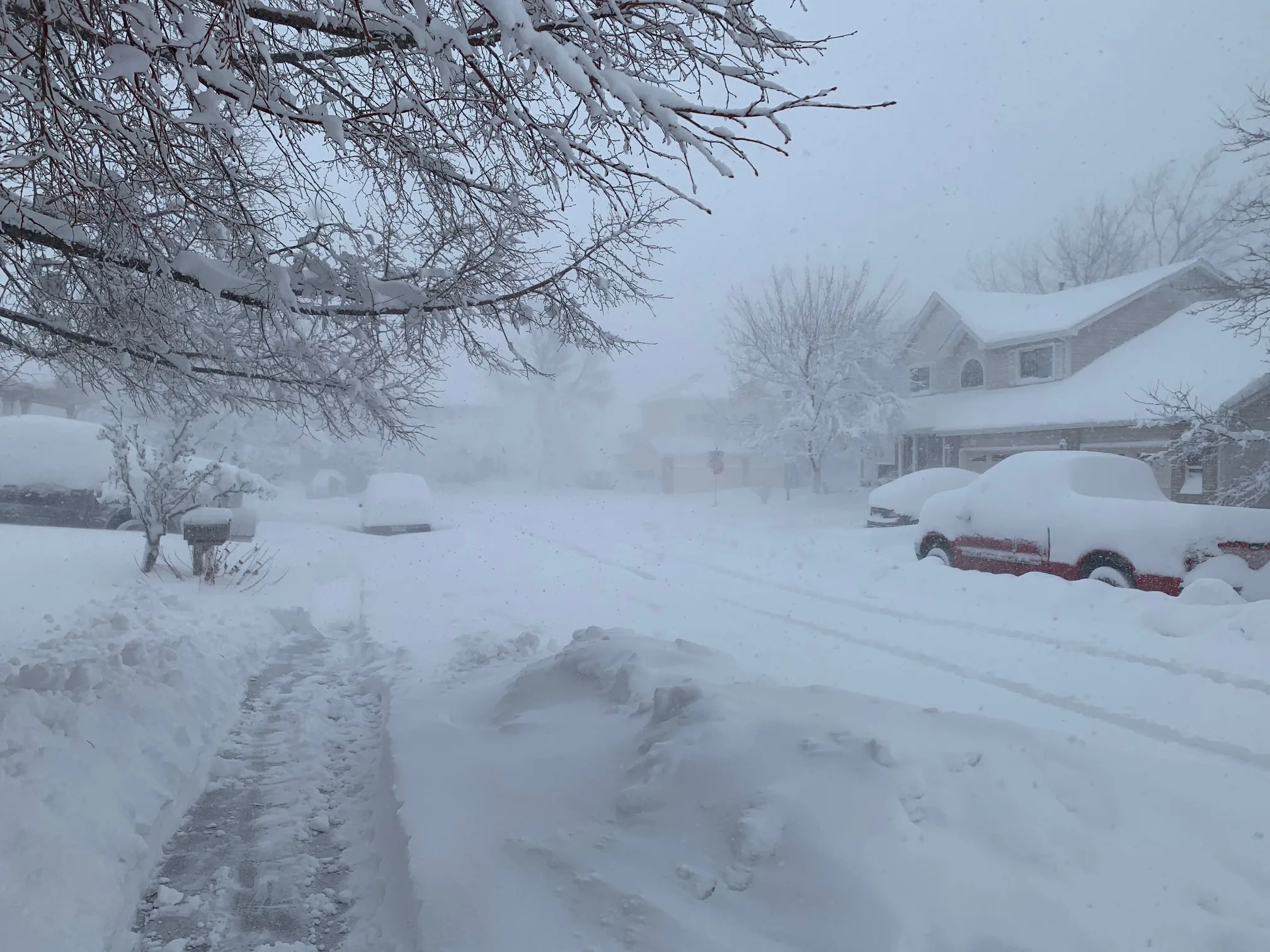 Blizzard Pictures