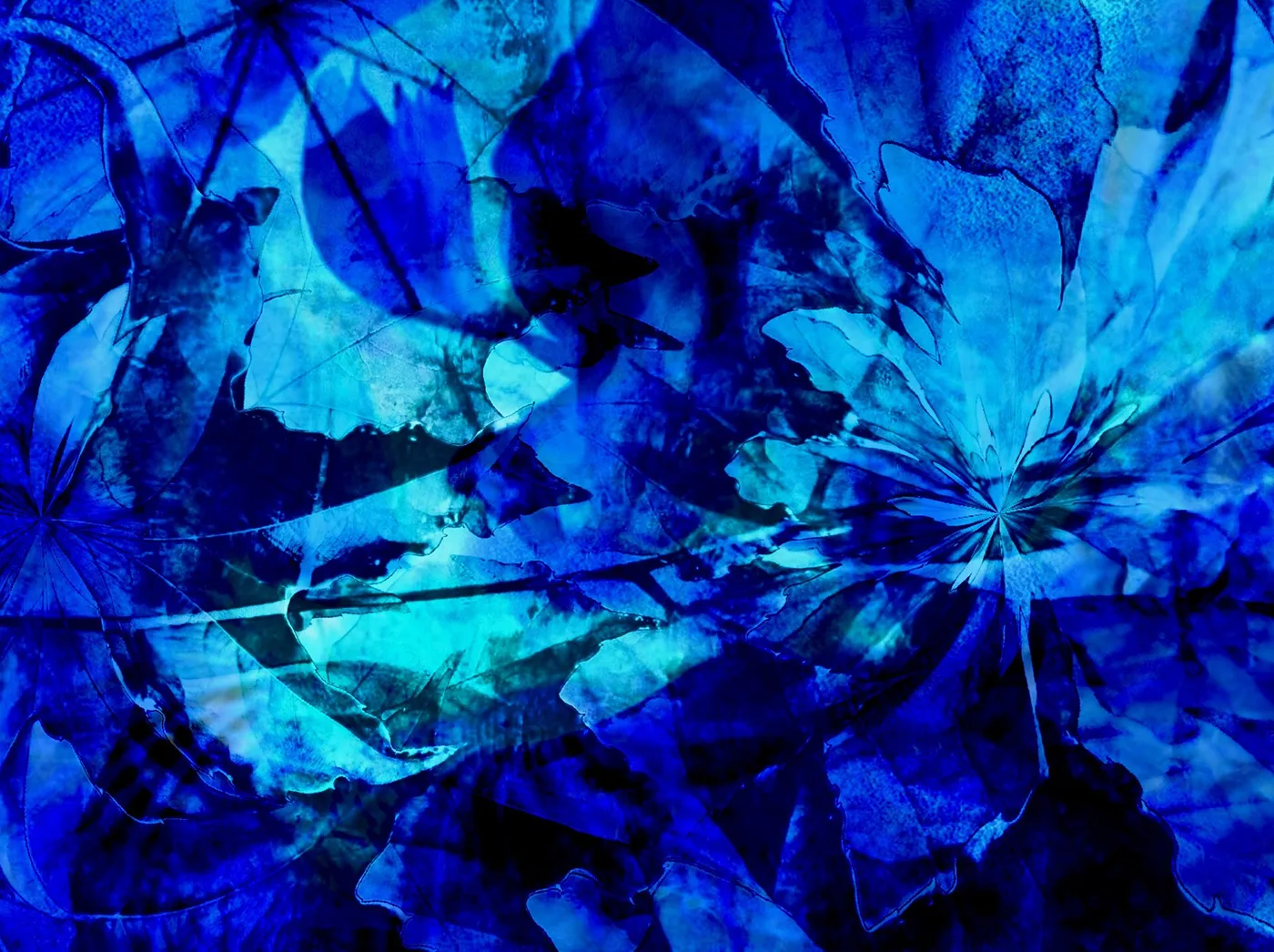 Blue Blue Blue On Behance