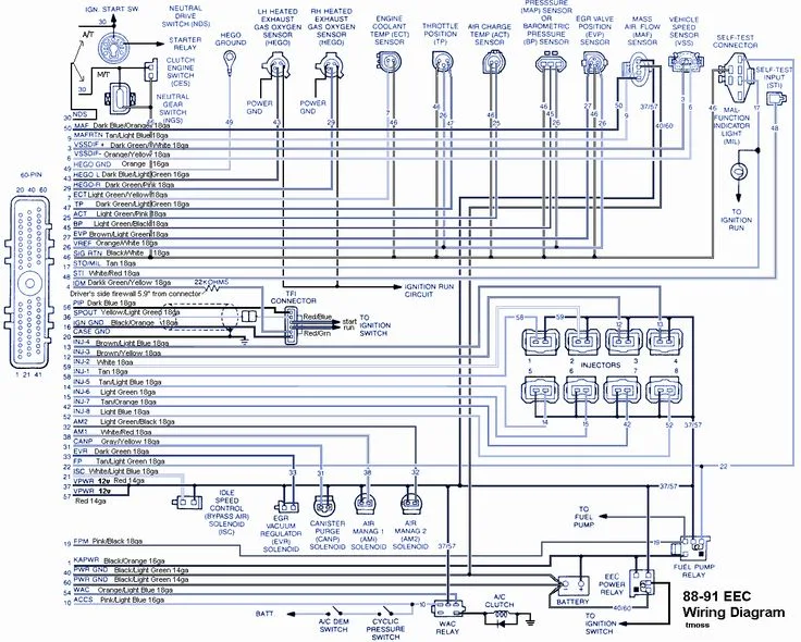 Bmw Z4 Wiring Diagram Radio