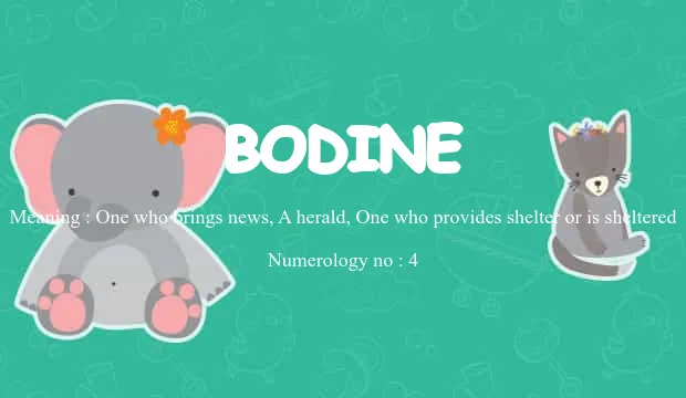 Bodine Name Meaning