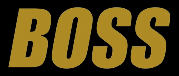 Boss Liquipedia Counter Strike Wiki