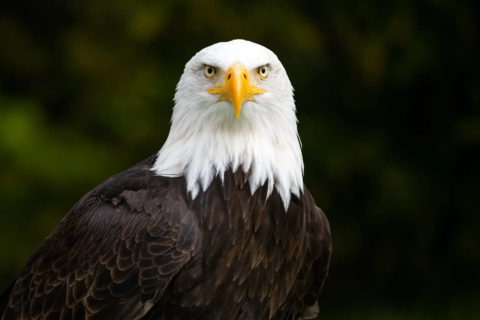 Breaking Down Eagle Materials Hidden Gem For Value Investors Nyse Exp Seeking Alpha