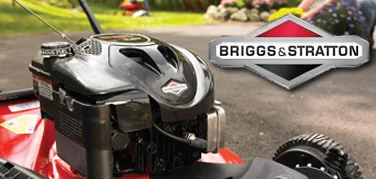 Briggs Stratton Dpg Distribution