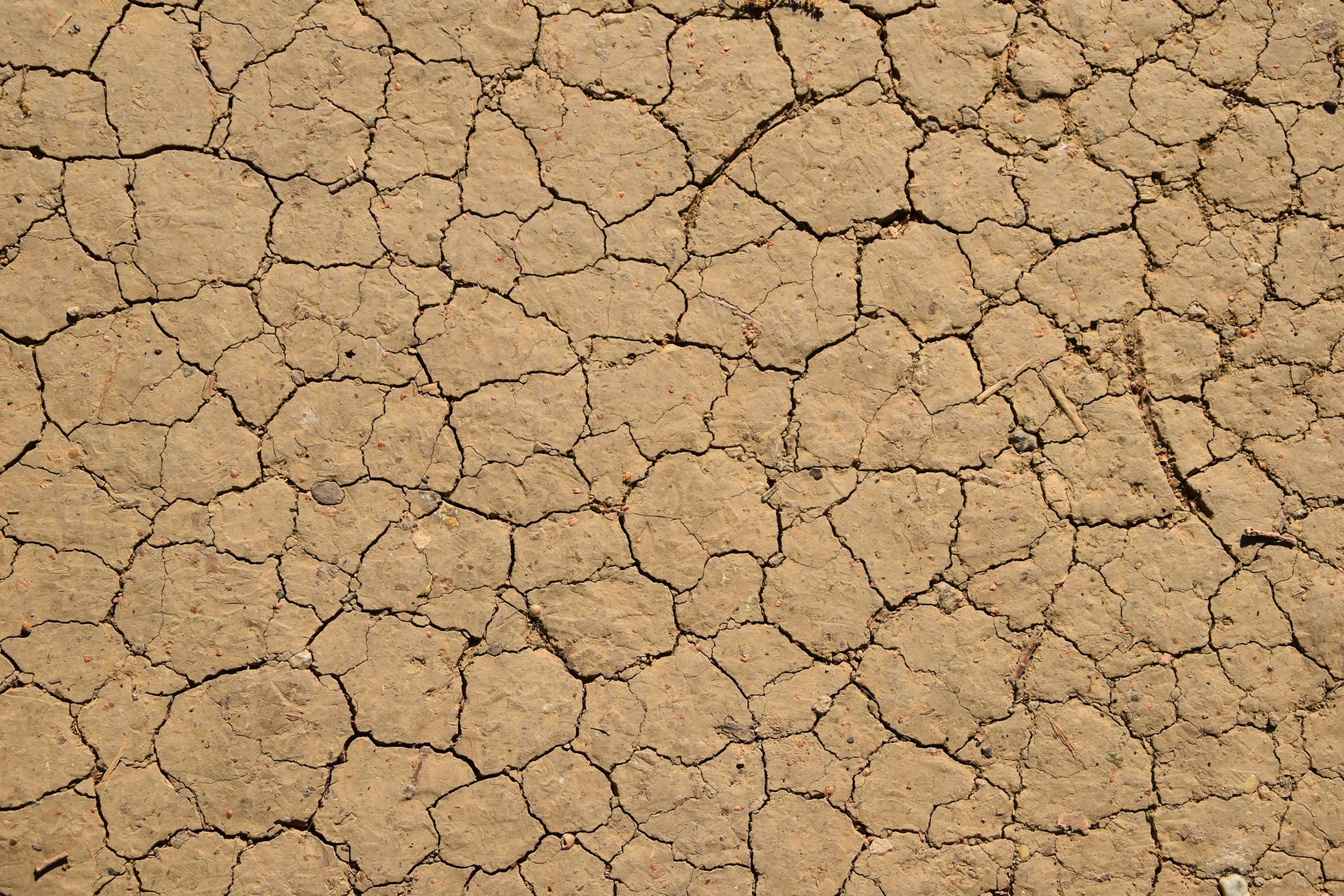 Brown Dirt Earth Ground Land Nature Soil Surface Texture 4K Wallpaper