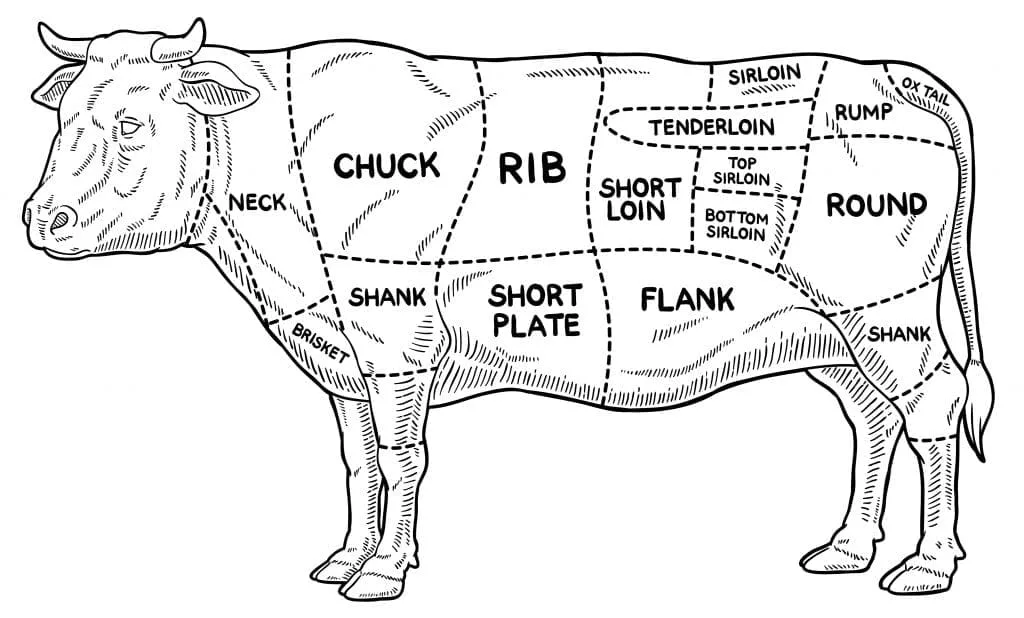 Butcher Beef Diagram