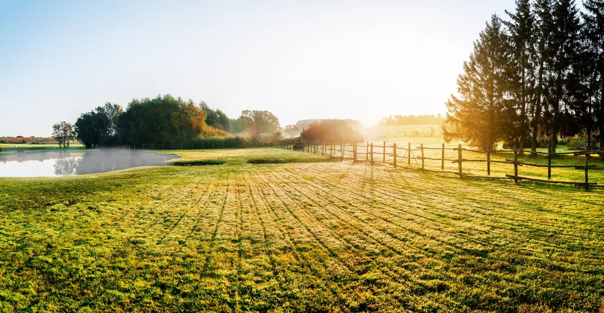 Buying Property With Land