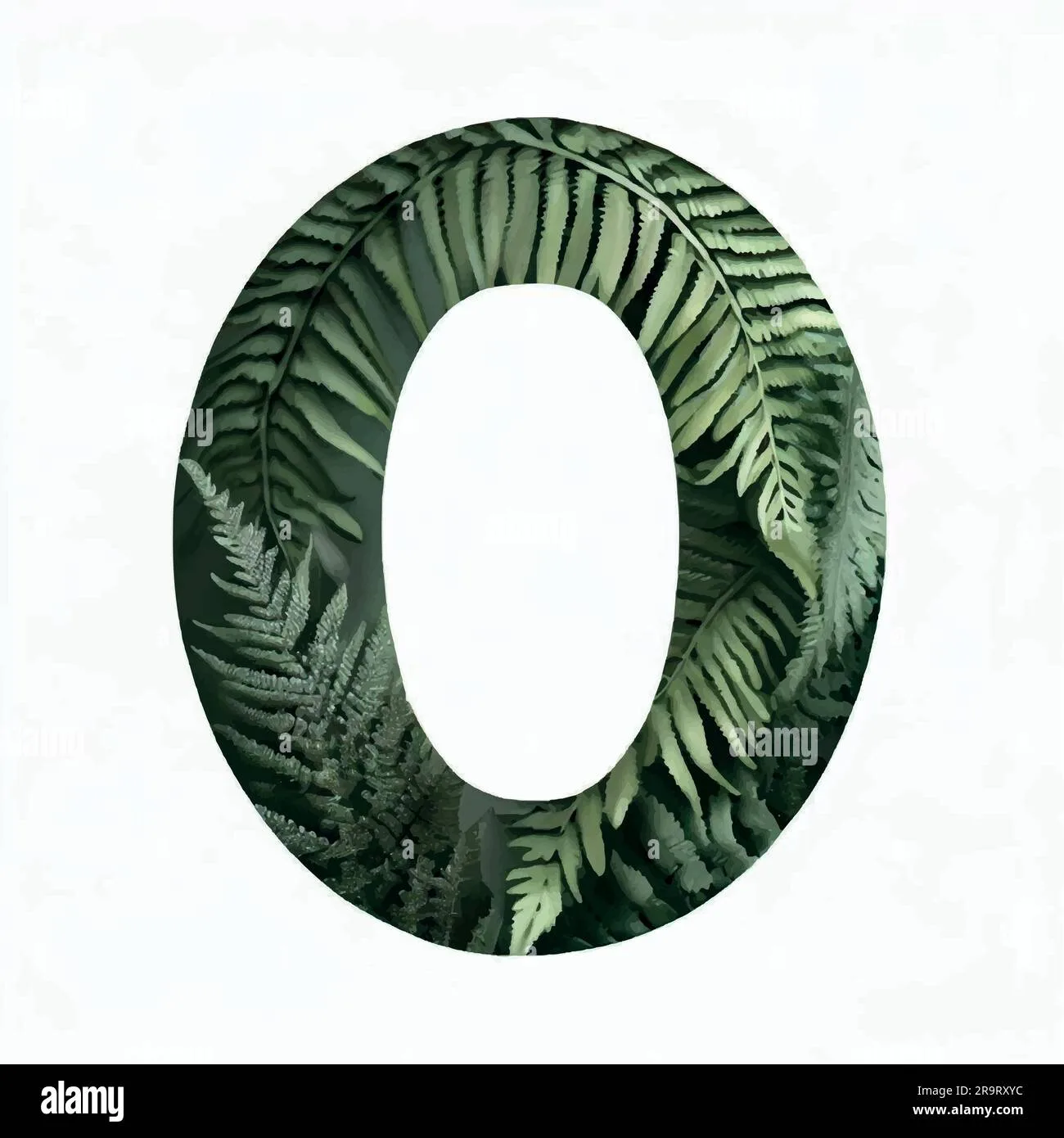 Capital Letter O In Fern On A White Canvas Stock Vector Image Art Alamy