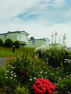 Caravan Parks Dorset Caravan To Rent Dorset Gorselands