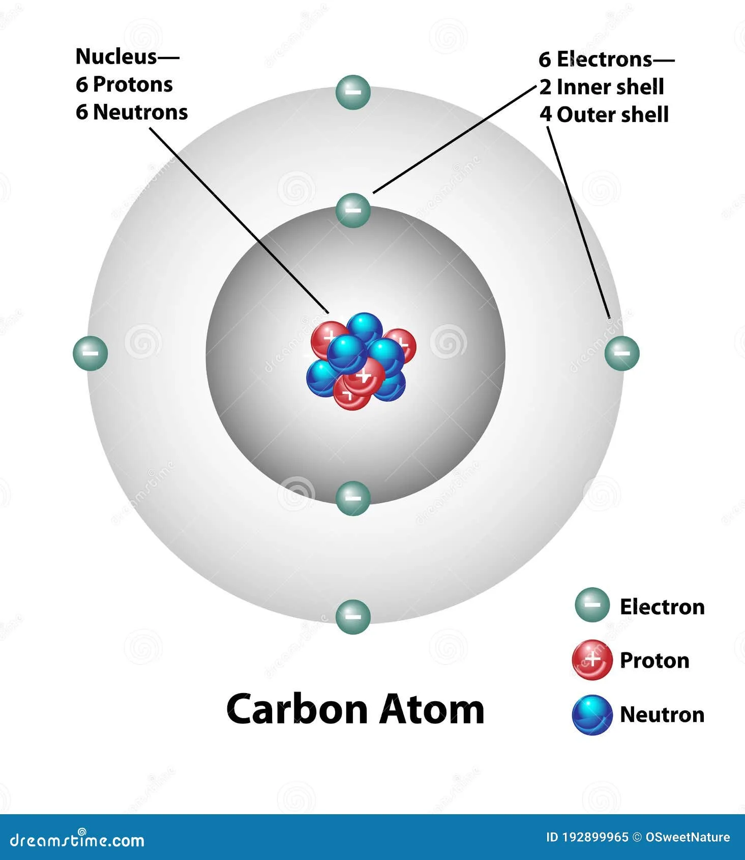 Carbon 12 Atom Diagram