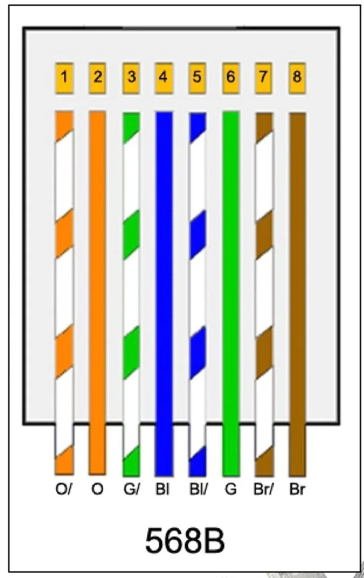 Cat6 Cable Wiring Diagram Pdf Laceged