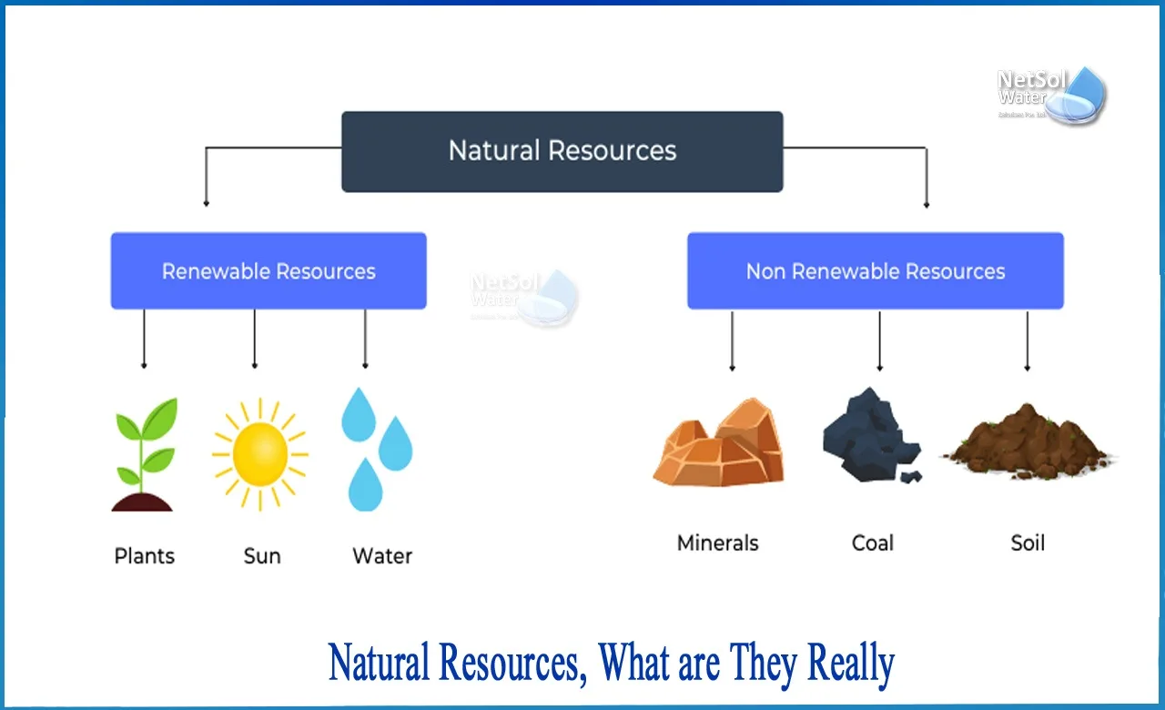Cbse Science Grade 9 Natural Resources Soil Practice Questions Quizizz