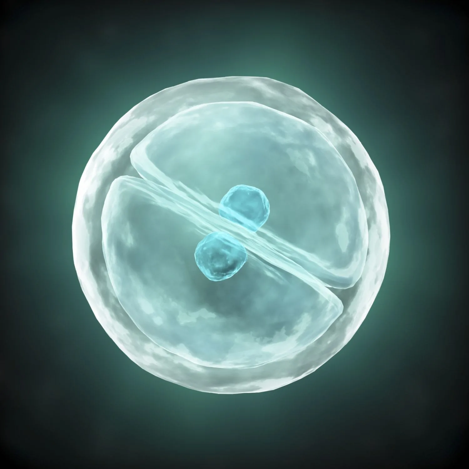 Cell Biology Glossary