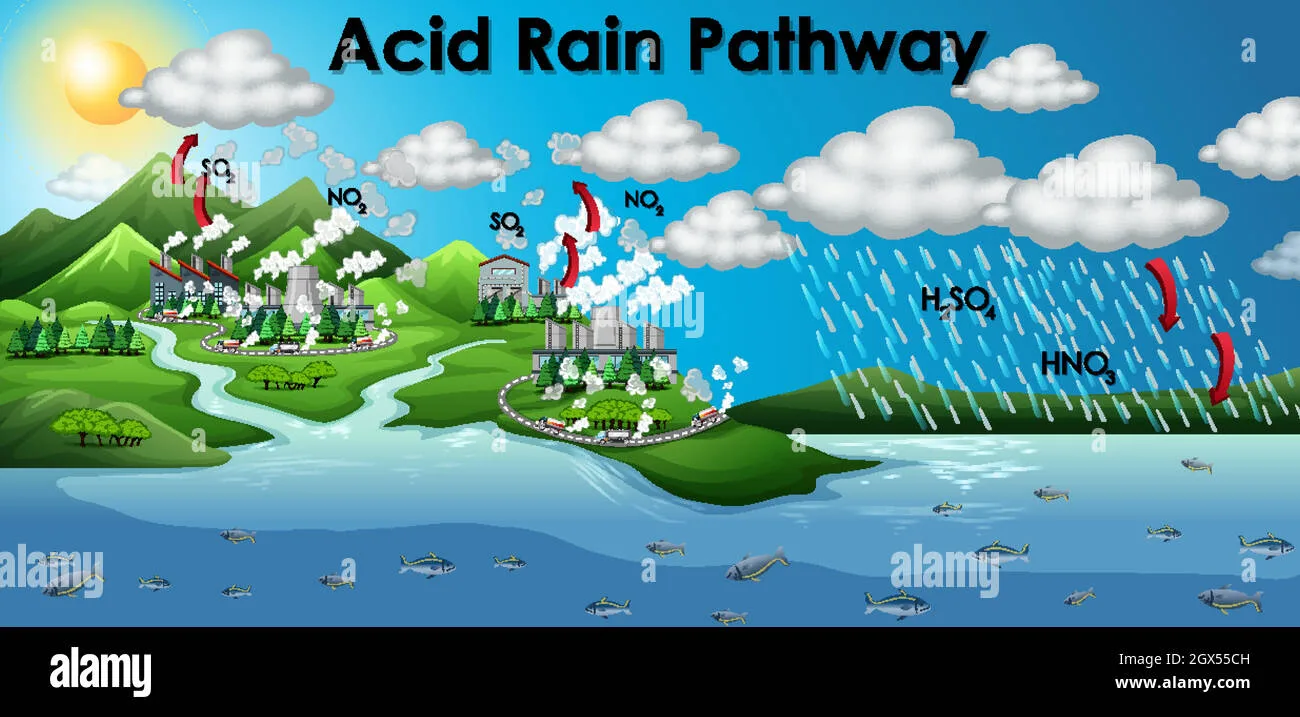 Chemical Weathering Acid Rain Diagram