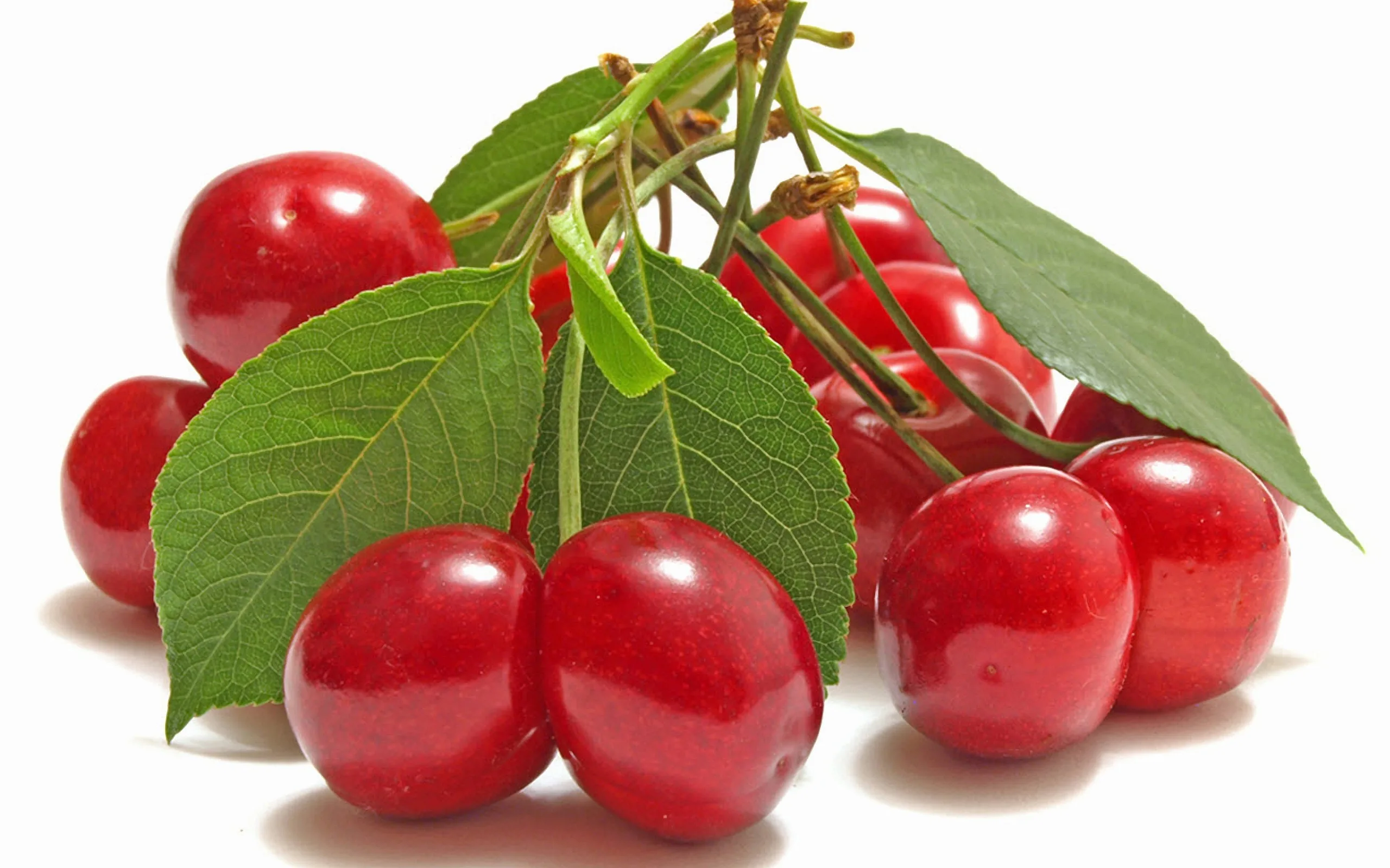 Cherry Wallpaper 2560X1600 78520