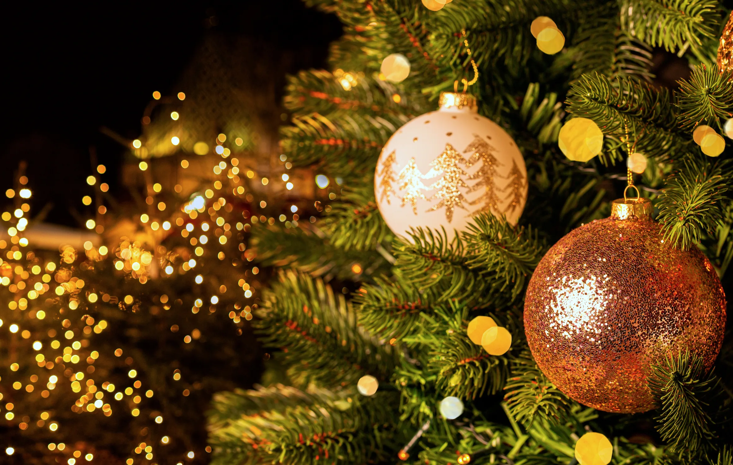 Christmas In Orlando 2025 Top 15 X Mas Activities