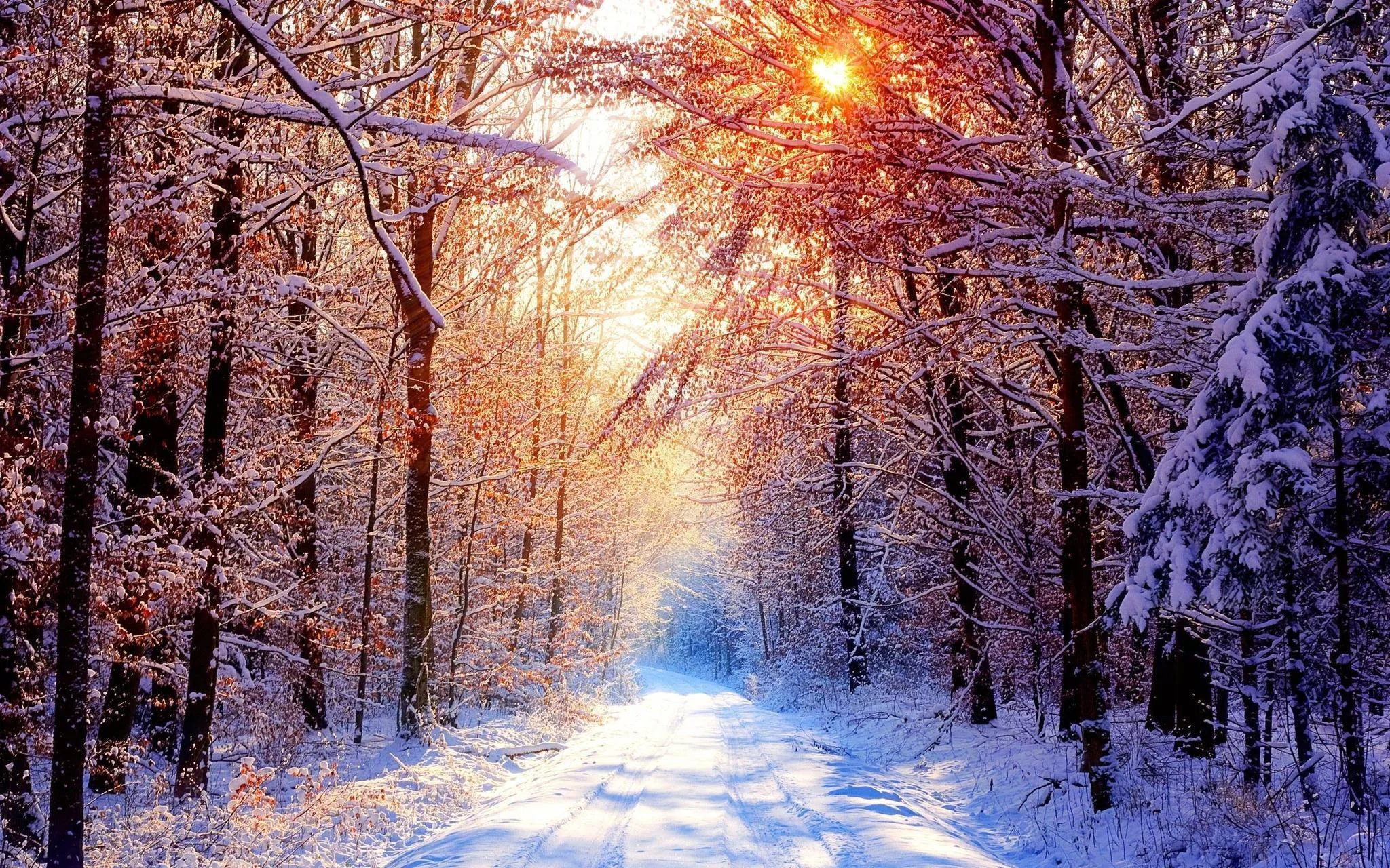 Christmas Snow Scene Wallpapers Wallpaper Cave