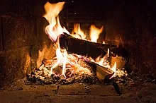 Combustion Wikipedia